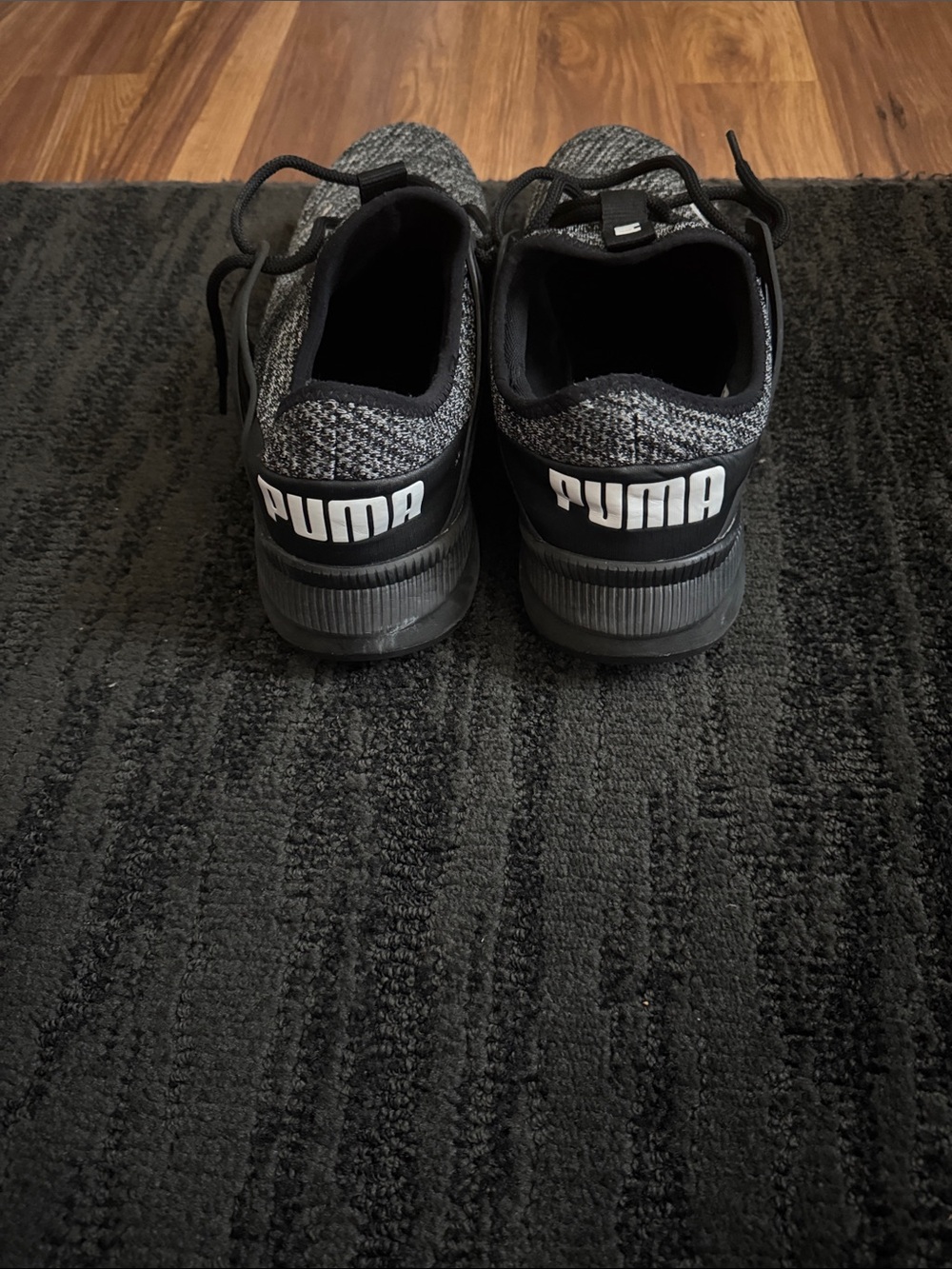 Pumas
